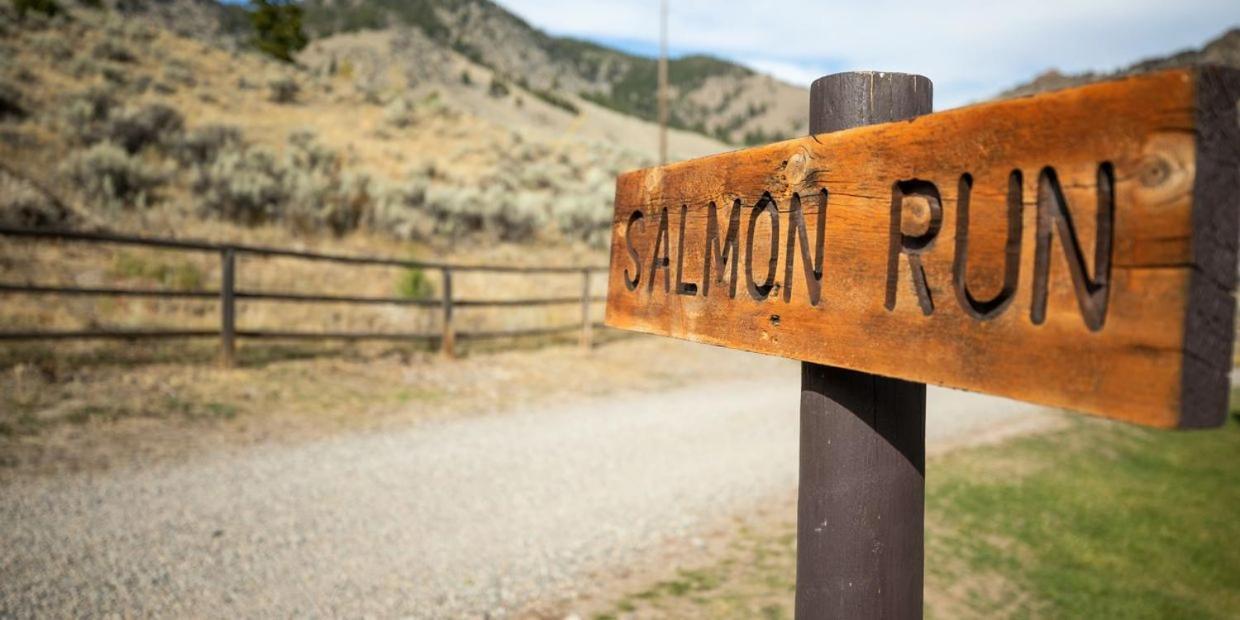 SalmonTwin Peaks Guest Ranch别墅 外观 照片